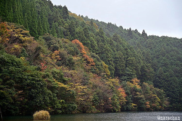 DSC_1182.JPG