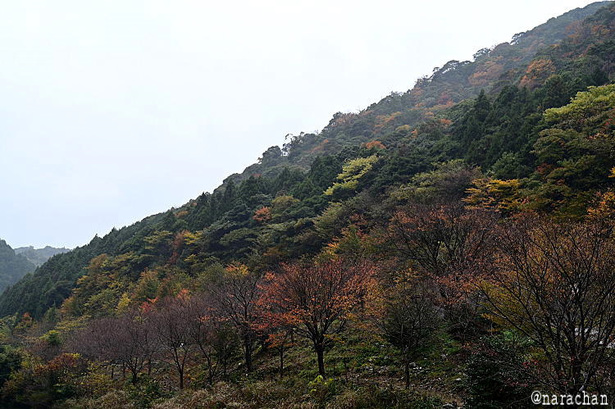 DSC_1185.JPG
