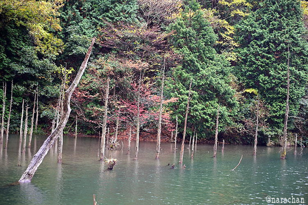 DSC_1189.JPG