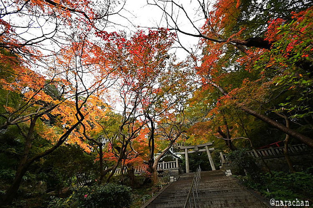 DSC_1218.JPG