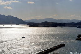 DSC_1360.JPG