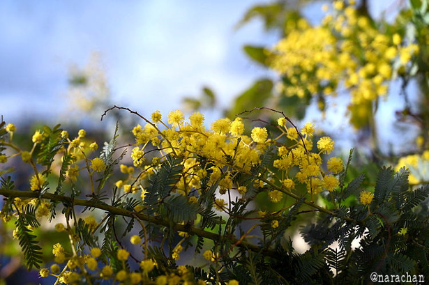 DSC_1561.JPG