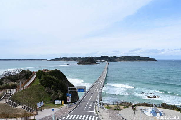 DSC_1801_00002.JPG