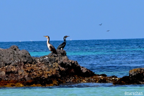 DSC_1822.JPG