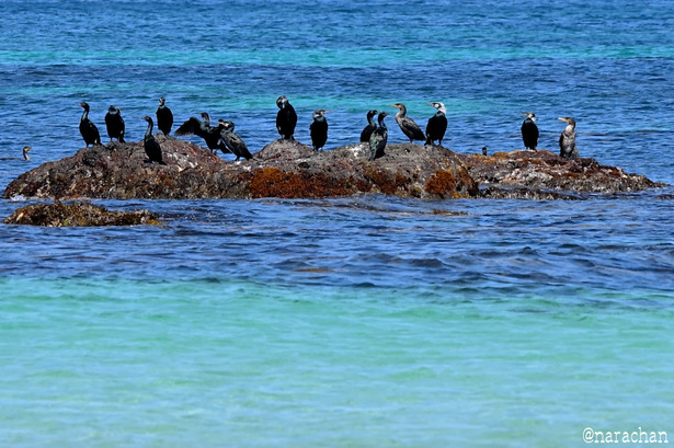 DSC_1832.JPG