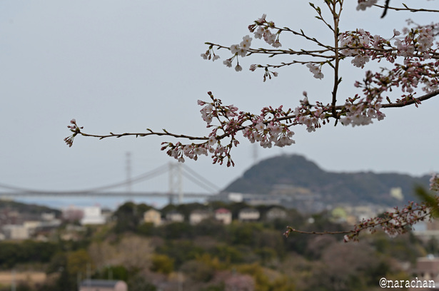 DSC_1977.JPG