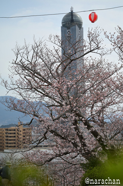 DSC_1990.JPG
