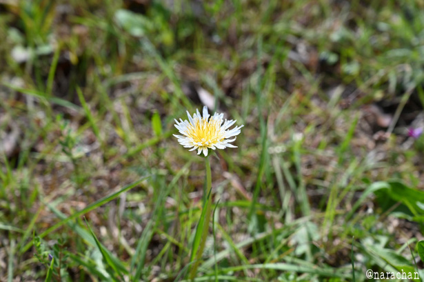 DSC_2203.JPG