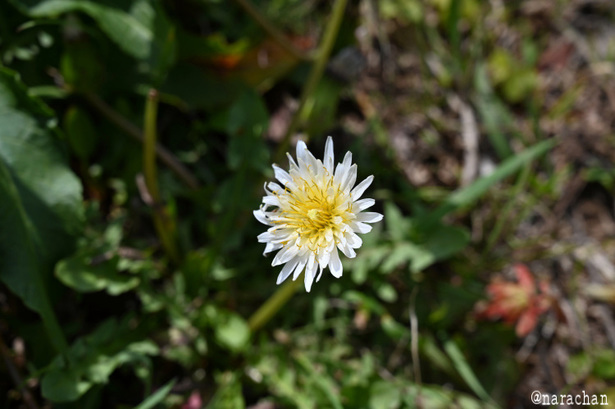 DSC_2204.JPG