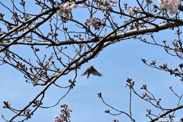 DSC_2291.JPG