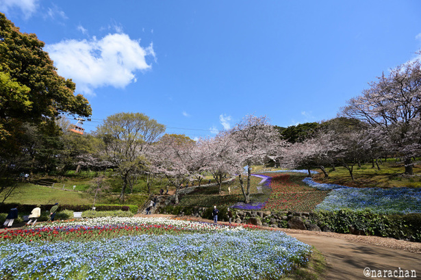 DSC_2342.JPG