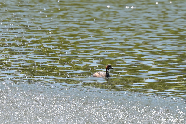 DSC_2363.JPG