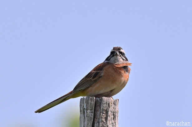 DSC_2969.JPG