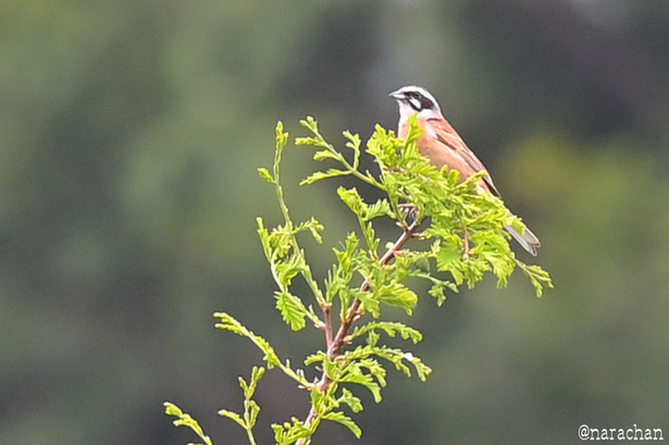 DSC_3043.JPG