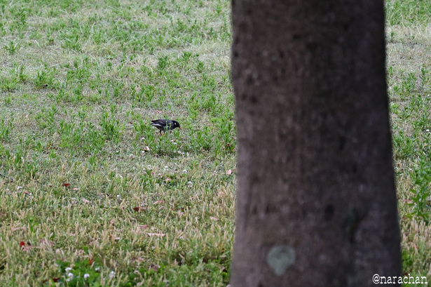DSC_3119_00017.JPG