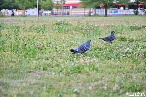 DSC_3127_00024.JPG