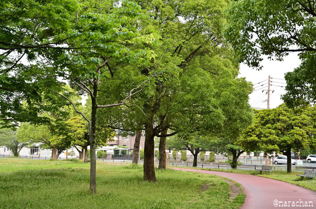 DSC_3132_00027.JPG