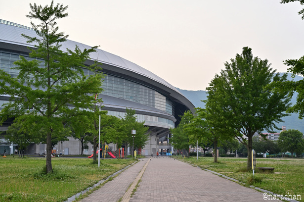 DSC_3142_00035.JPG