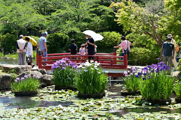 DSC_3281_00020.JPG