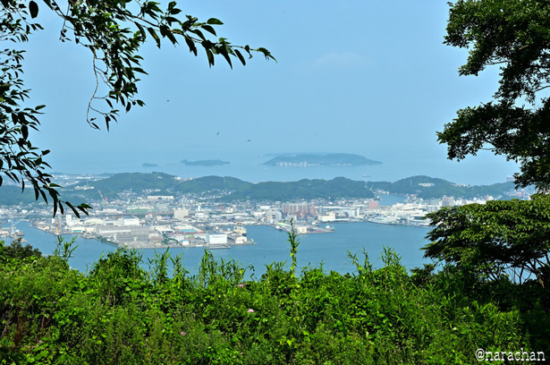 DSC_3603_00001.JPG