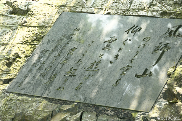 DSC_3605_00003.JPG
