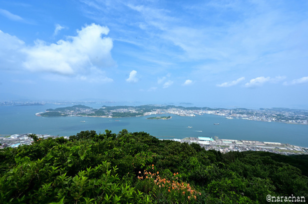DSC_3618_00016.JPG