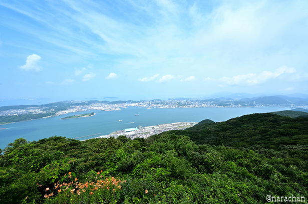 DSC_3619_00017.JPG