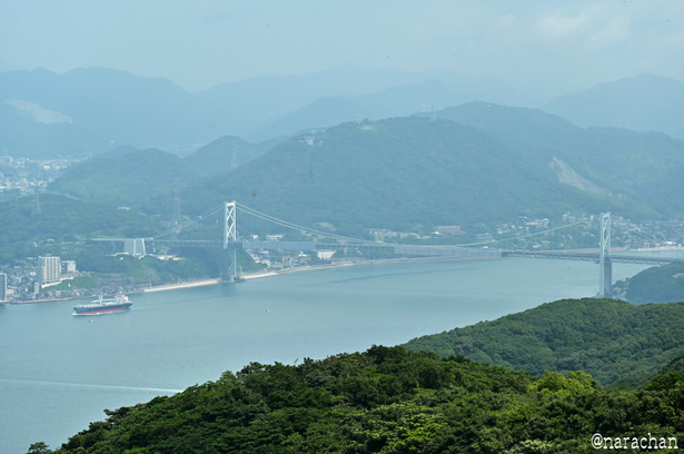 DSC_3628_00026.JPG