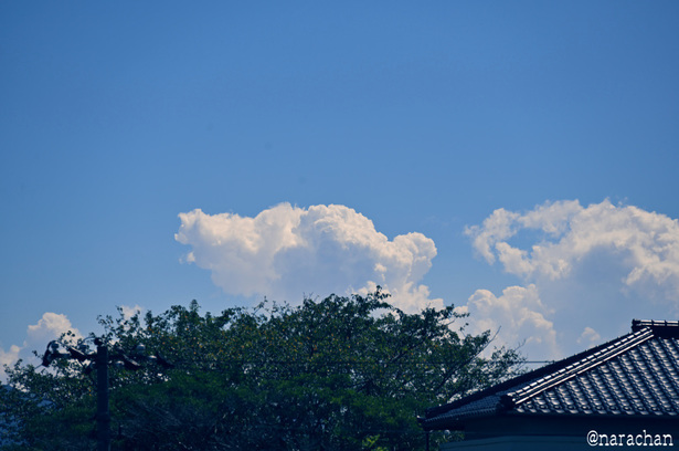 DSC_3915_00005.JPG