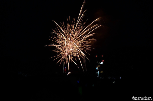 DSC_3936_00005.JPG