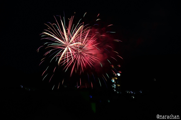 DSC_3938_00007.JPG