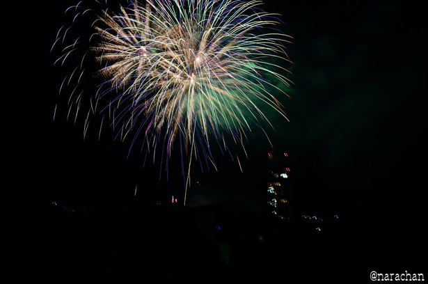 DSC_3943_00011.JPG