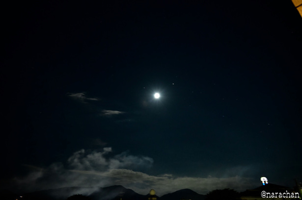 DSC_3949_00017.JPG