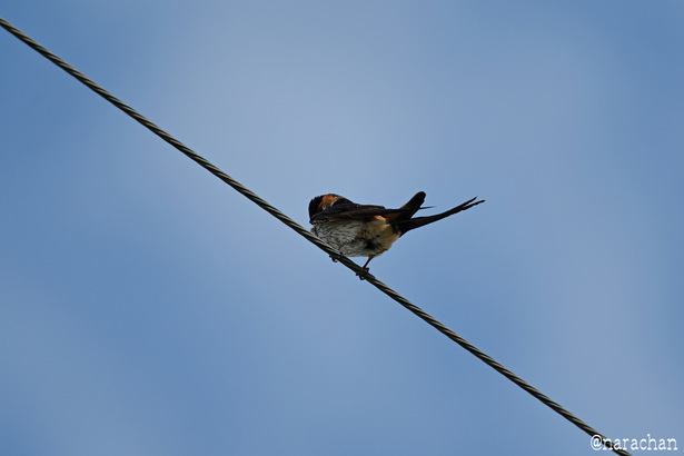 DSC_3969.JPG
