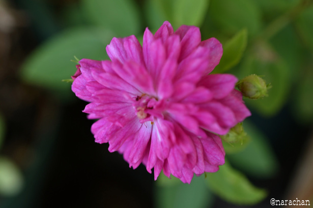 DSC_3969_00002.JPG