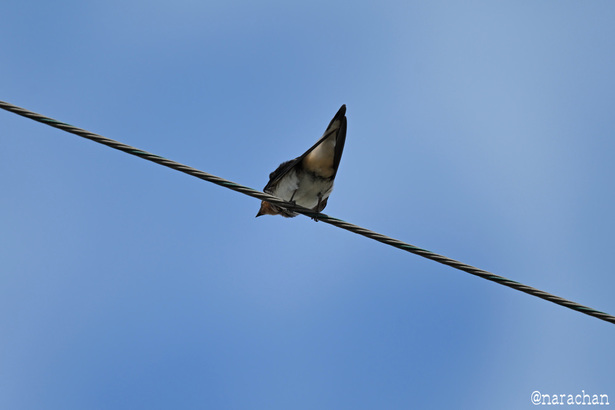DSC_3970.JPG