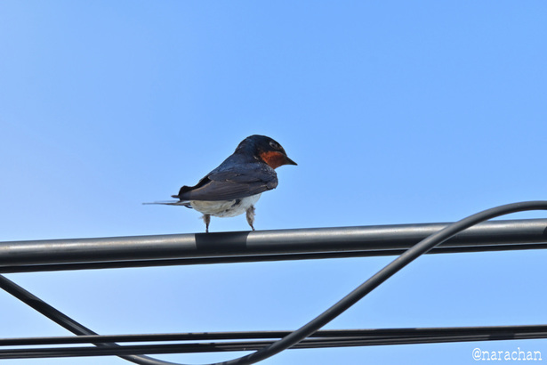 DSC_3972.JPG