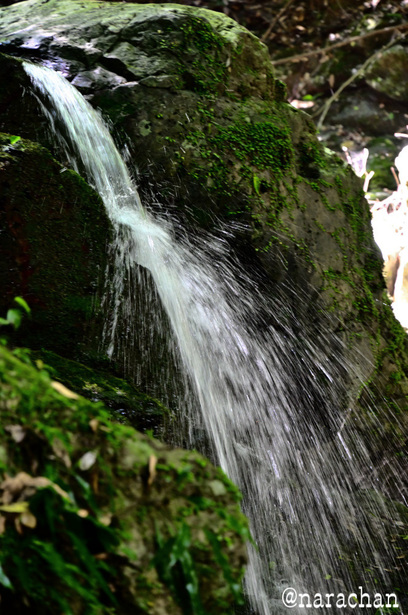 DSC_4051.JPG