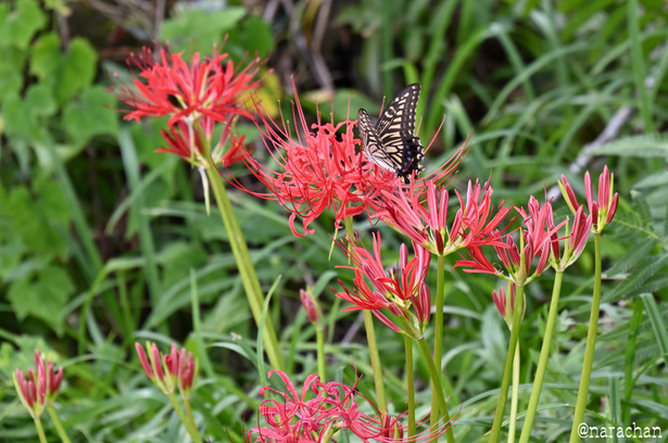 DSC_4121_00024.JPG