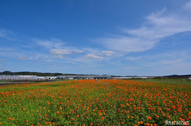 DSC_4206_00028.JPG