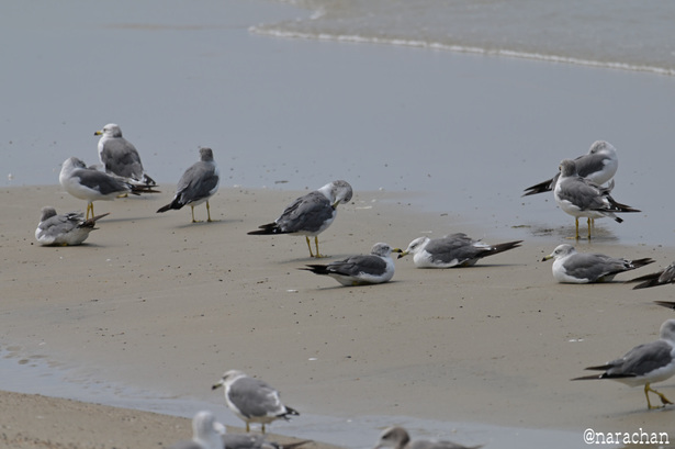 DSC_4880.JPG