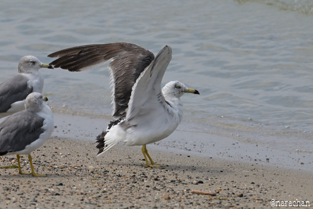 DSC_4917.JPG