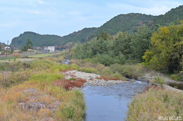 DSC_5154_00077.JPG