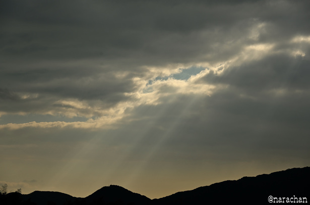 DSC_5207_00001.JPG