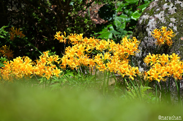 DSC_5401.JPG