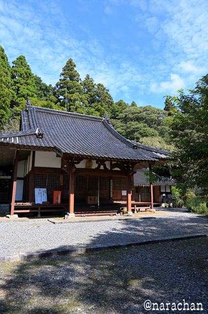 DSC_5413.JPG