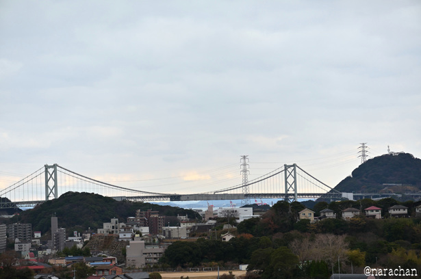 DSC_5524_00001.JPG