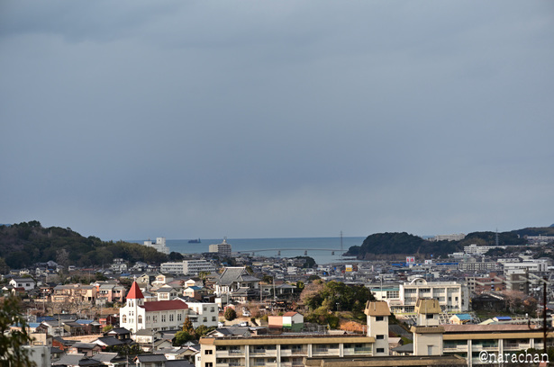 DSC_5547_00020.JPG