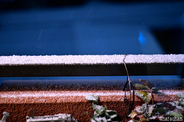 DSC_5655_00001.JPG