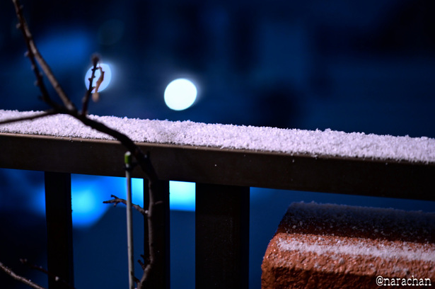 DSC_5664_00007.JPG